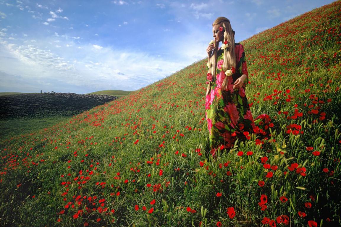 Afghanistan: Poppies near Kunduz  - Print by Fred Maroon