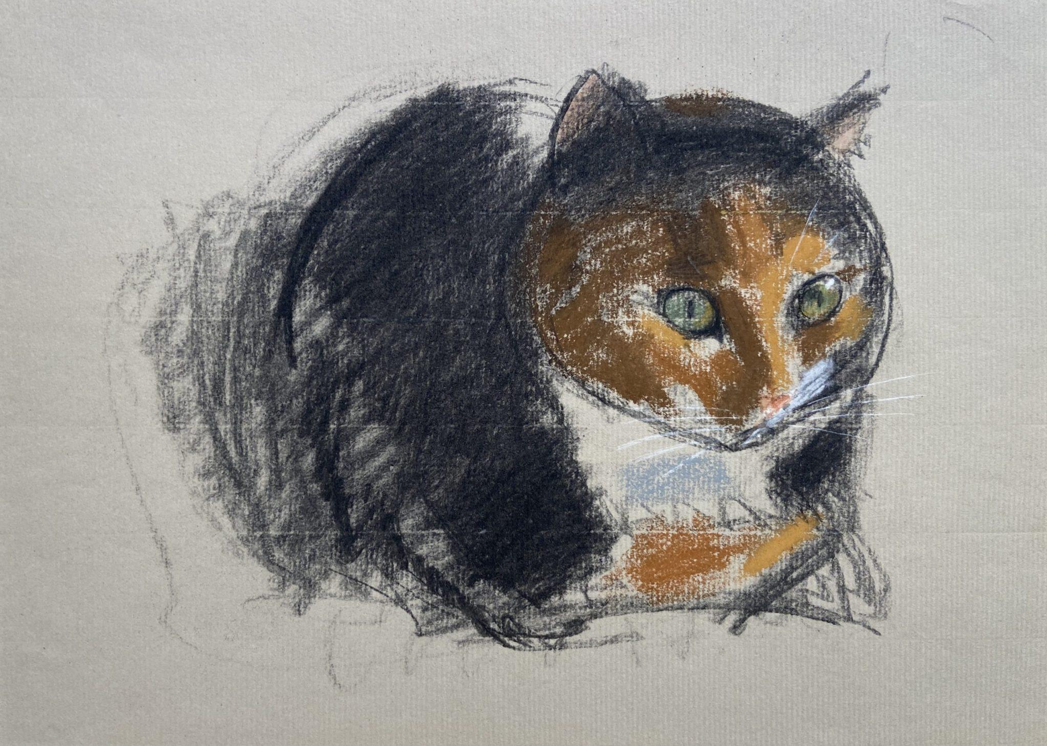 Animal Art John Sergeant - Études de chats, dessins d'animaux britanniques du 20e siècle