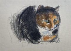 Études de chats, dessins d'animaux britanniques du 20e siècle