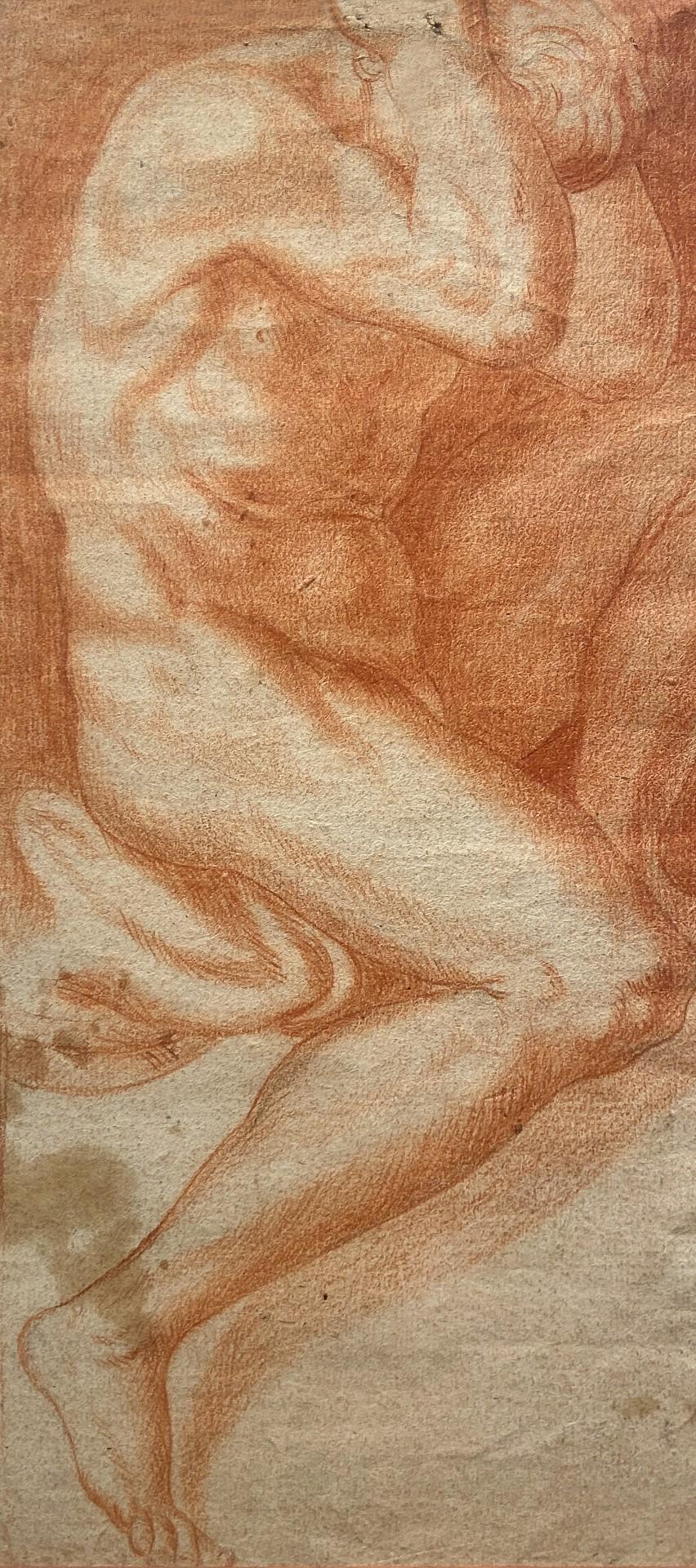 The Captive, Study of a Naked Man, Red Chalk Study, Carracci Gallery