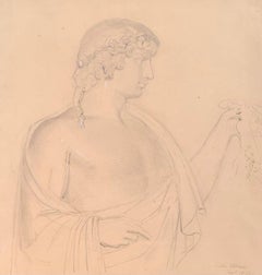 Antique Sketch of Antinous