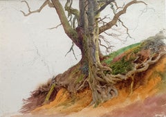 Tree Roots