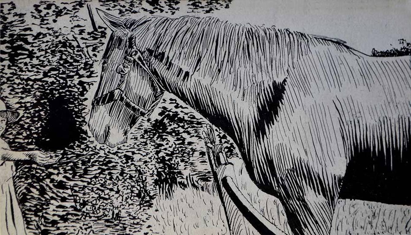Charles Inder Animal Art - Girl Feeding Horse. Pen & Ink. Mid 20th Century