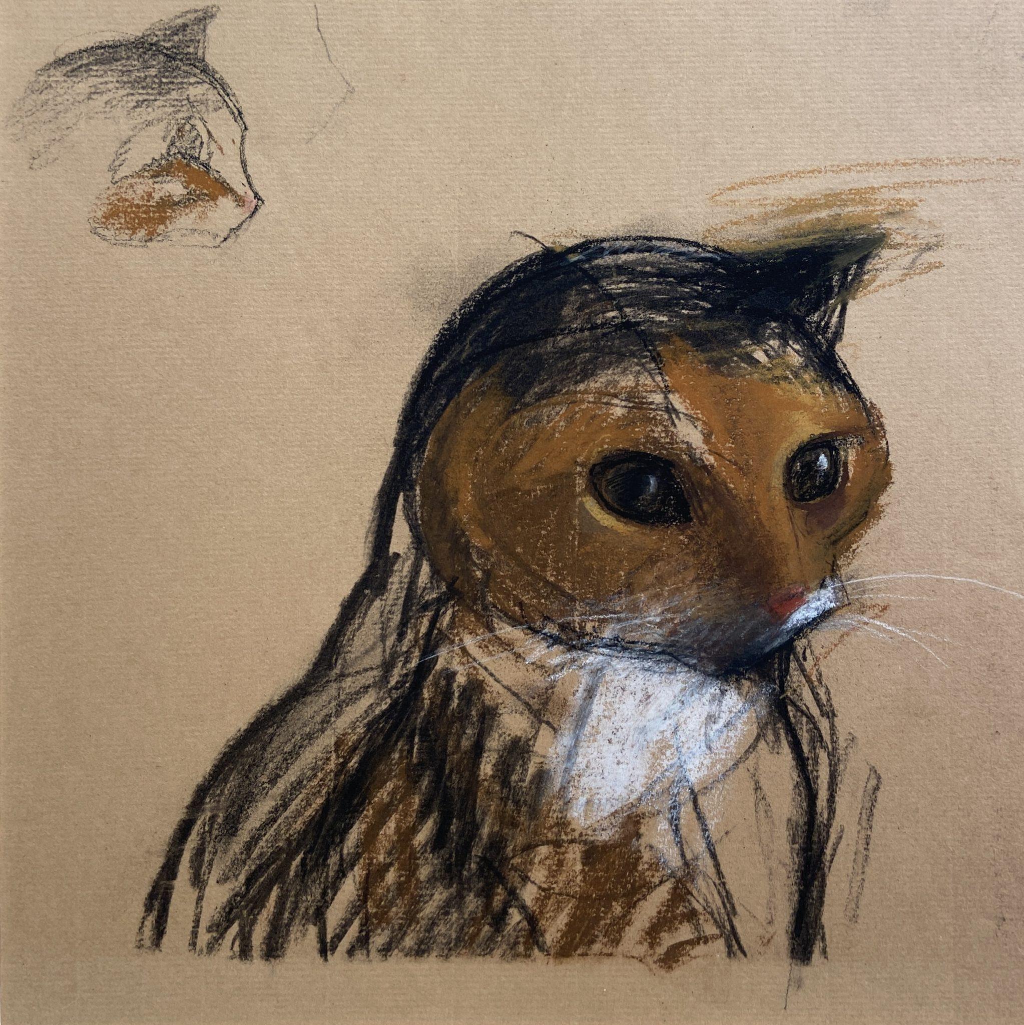 Cat Studies, 20th Century British Animal Drawings - Art by John Sergeant