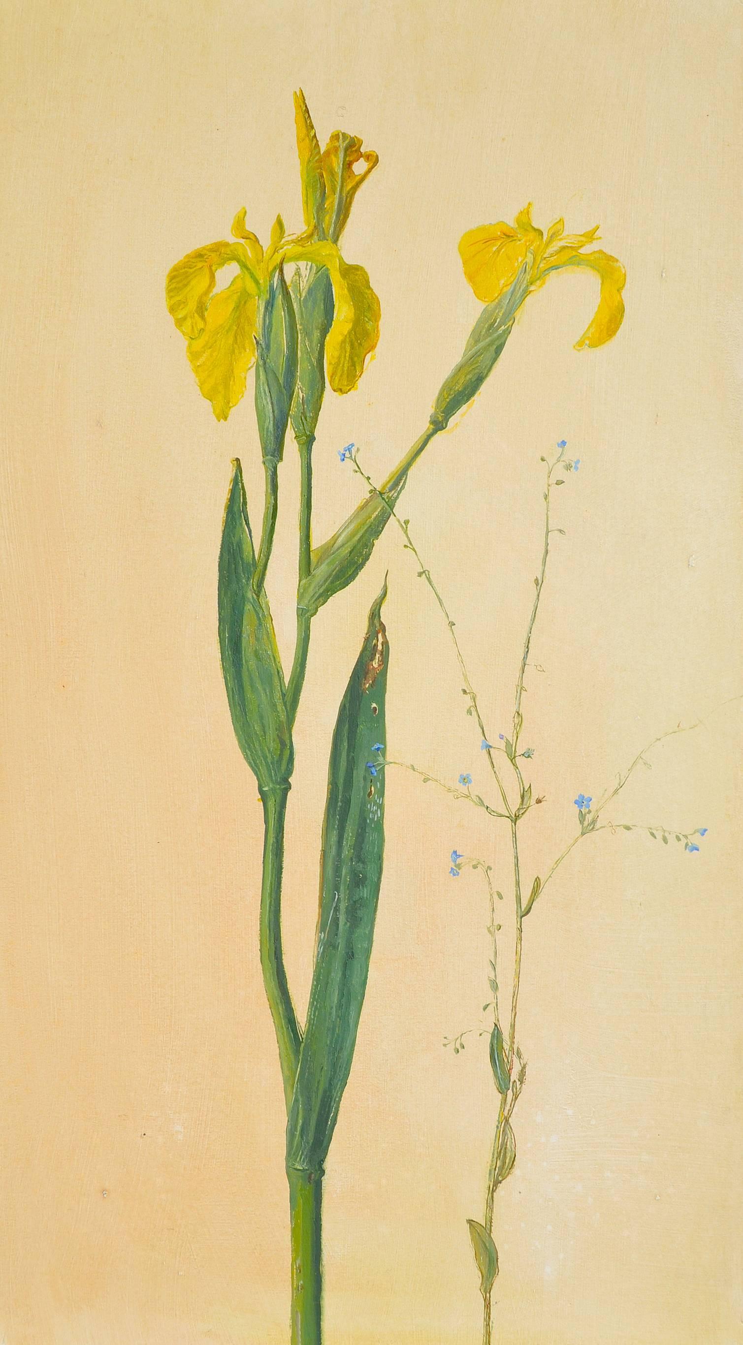 Carolyn Sergeant Still-Life - Yellow Iris with Forget Me Nots