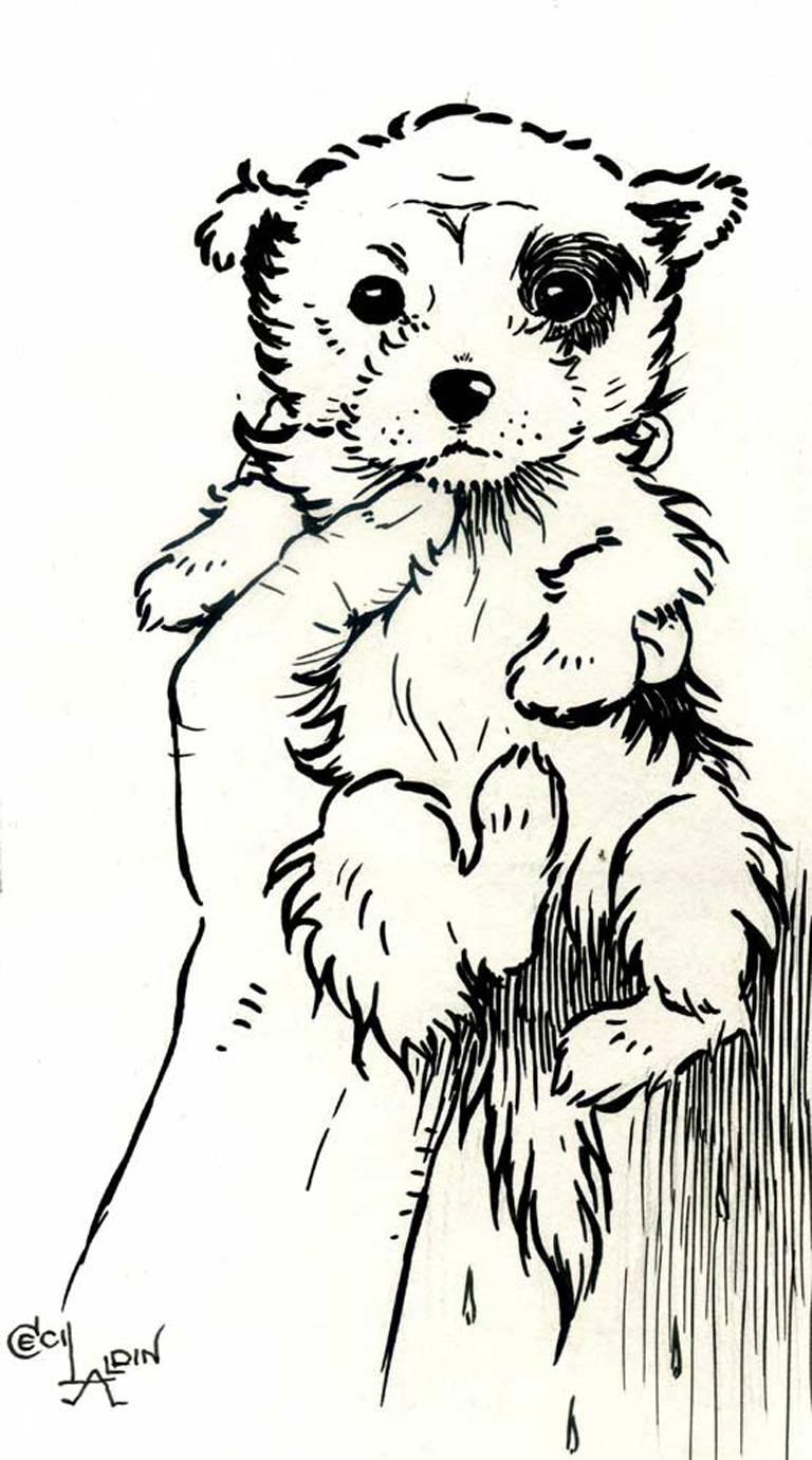 Cecil Charles Windsor Aldin, R.B.A. Animal Art - A Puppy, 20th Century Signed Ink on Paper