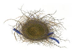 gouache on paper bird's nest, "Blue Jay" (Naturalism, Realism)