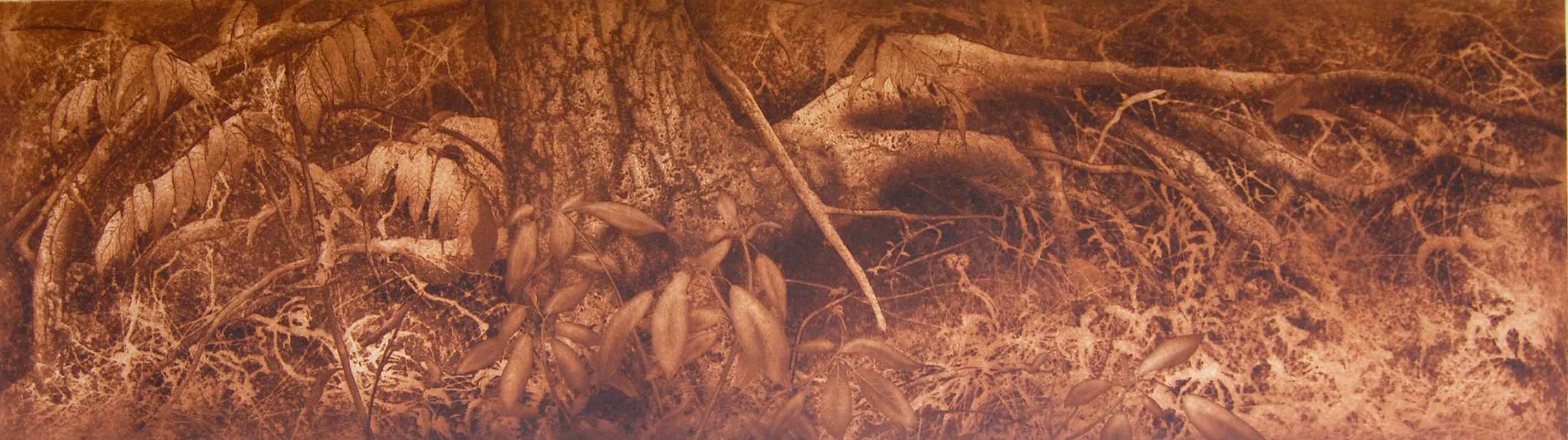 Gerald Scheck Landscape Print - "Hidden Agenda" Orange and Brown Realist etching