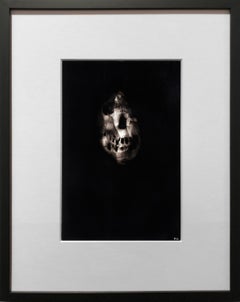 Black skull, "Triptych 2", Ronald Gonzalez, carbon flame drawing on paper, 2017