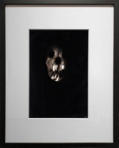 Black skull, "Triptych 3", Ronald Gonzalez, carbon flame drawing on paper, 2017