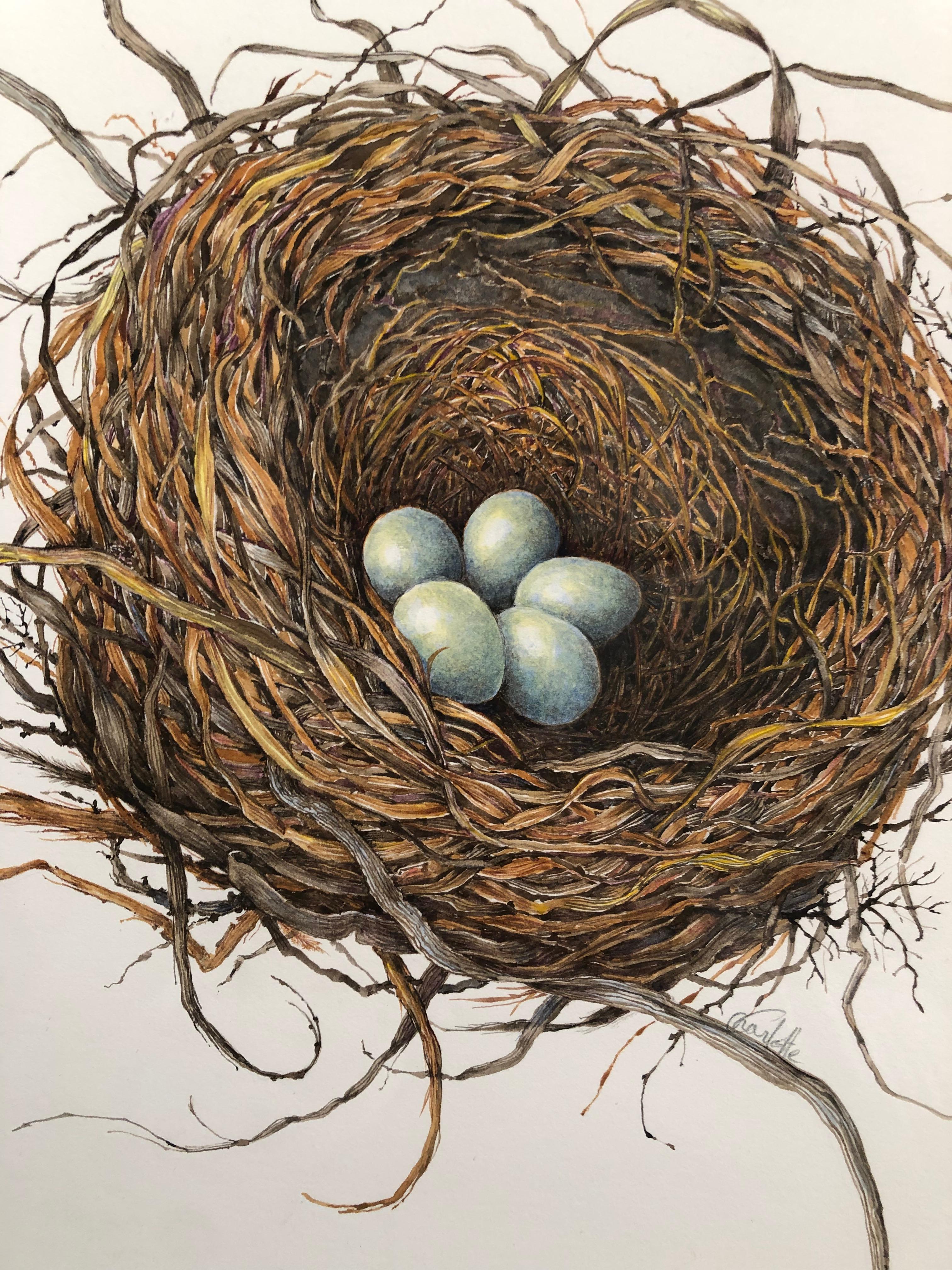 birdsnest italie