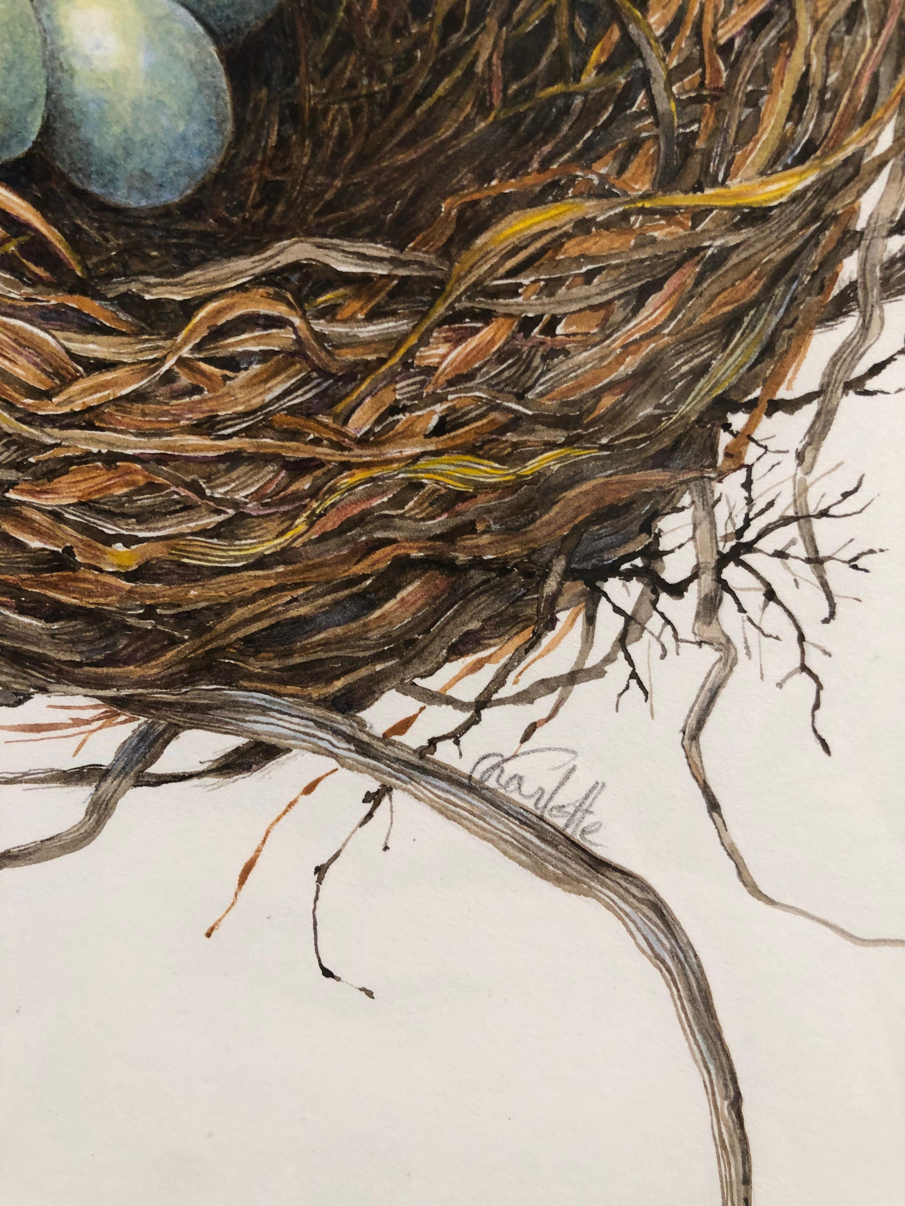 gouache on paper bird's nest, 