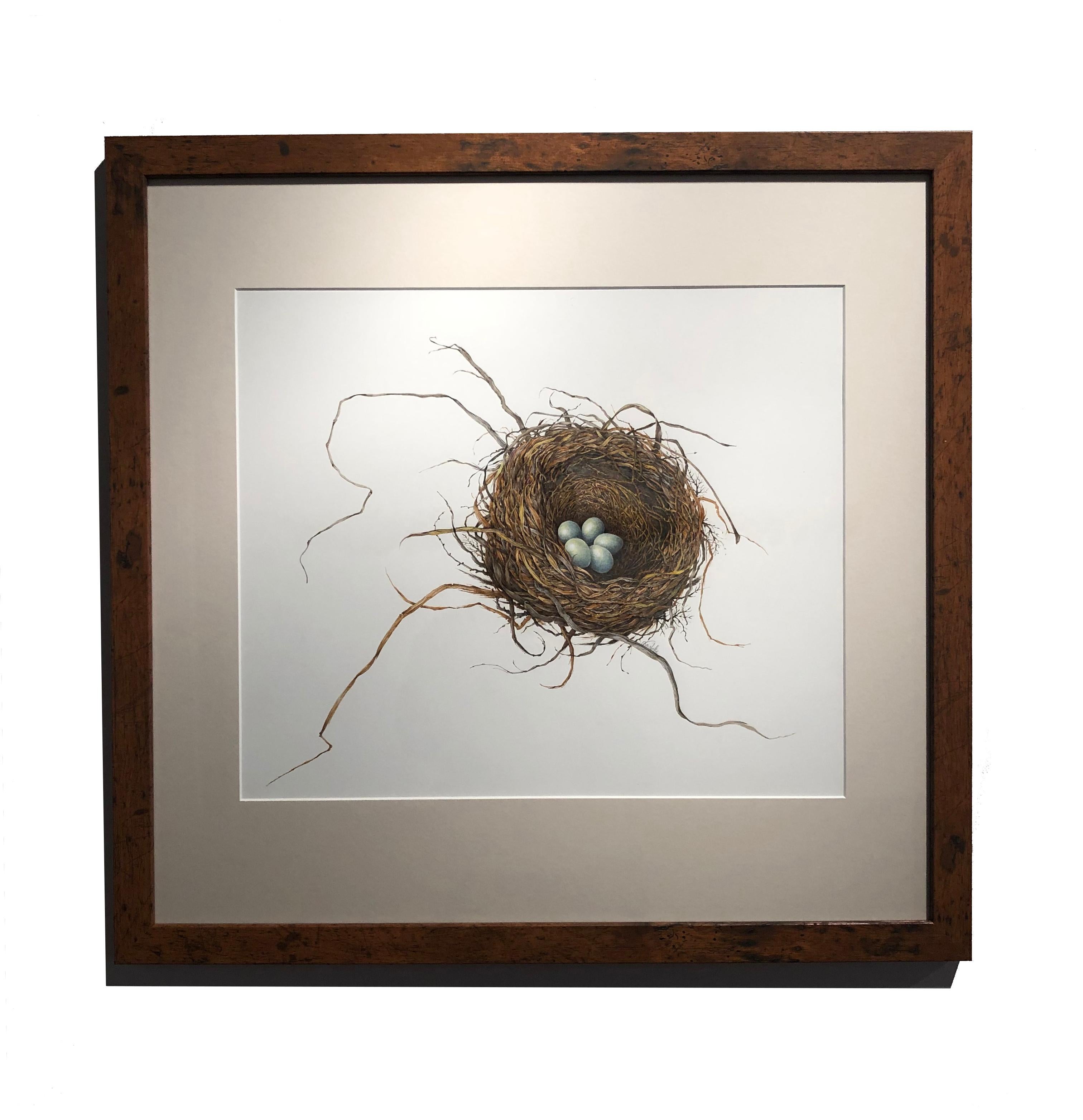 charlotte bird nest