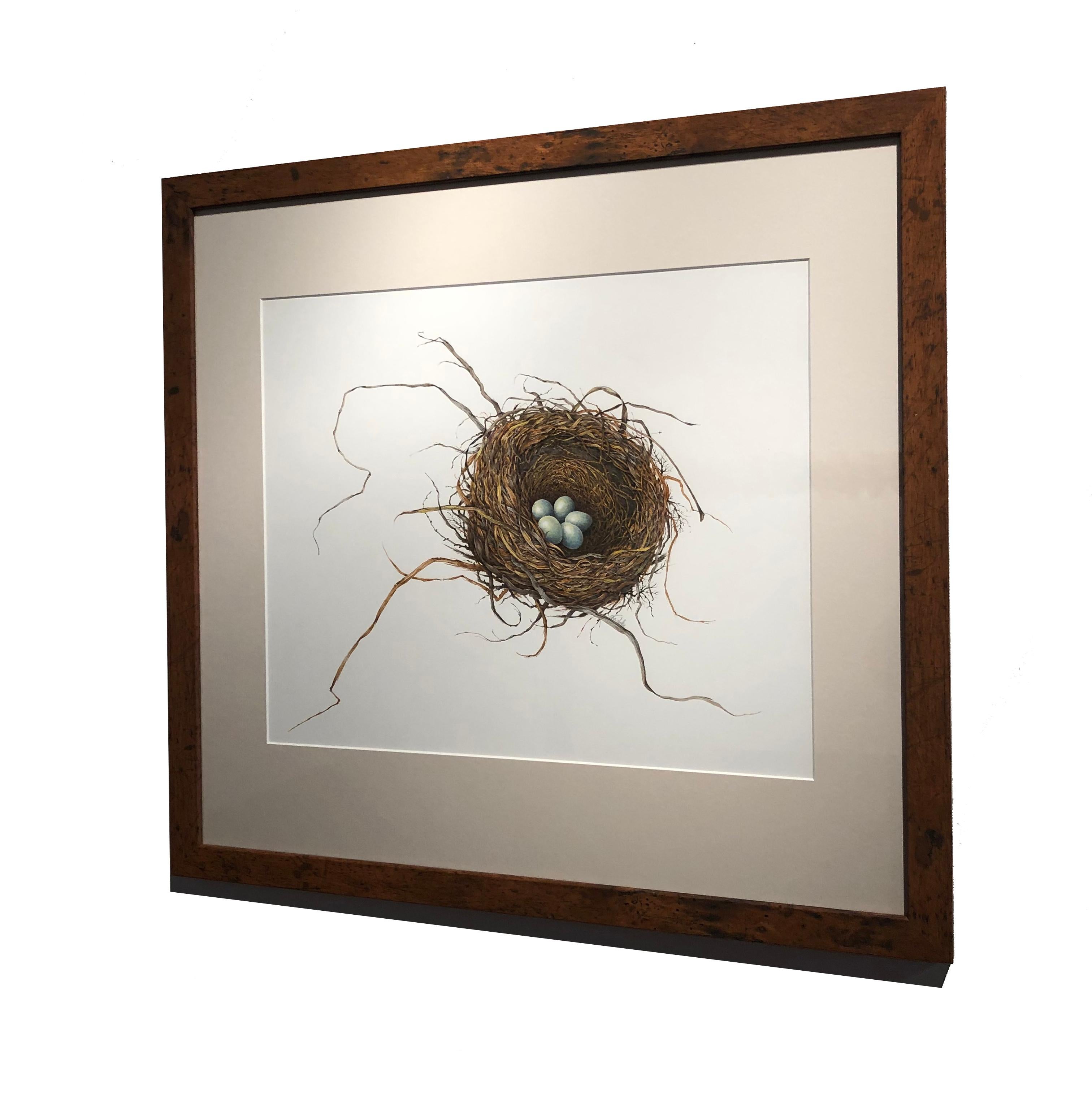 charlotte's bird nest italy