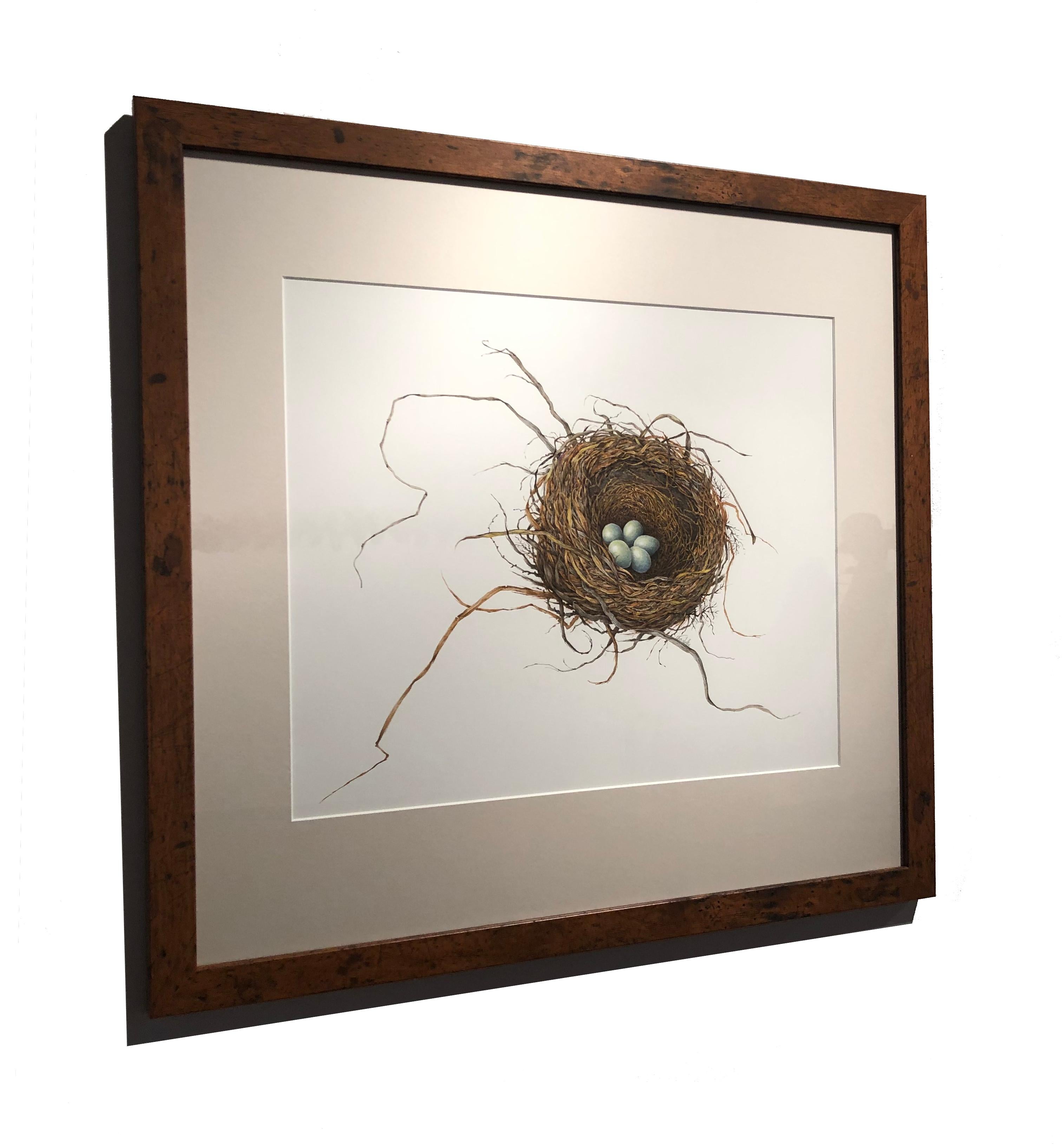 gouache on paper bird's nest, 