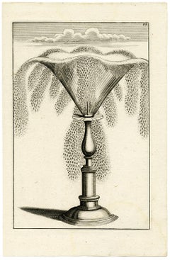 Architectura Curiosa Nova, Chalice Garden Fountain