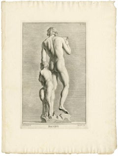 Bacchus (II)
