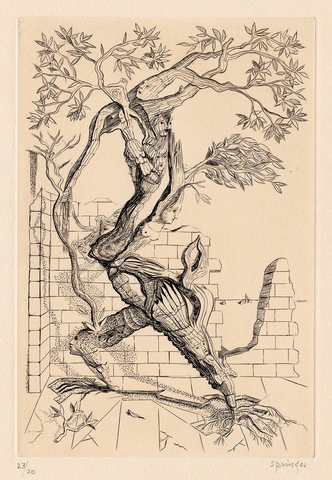 Ferdinand Springer Figurative Print – Arbre-Homme (Tree-Man) Surrealismus der Mitte des Jahrhunderts