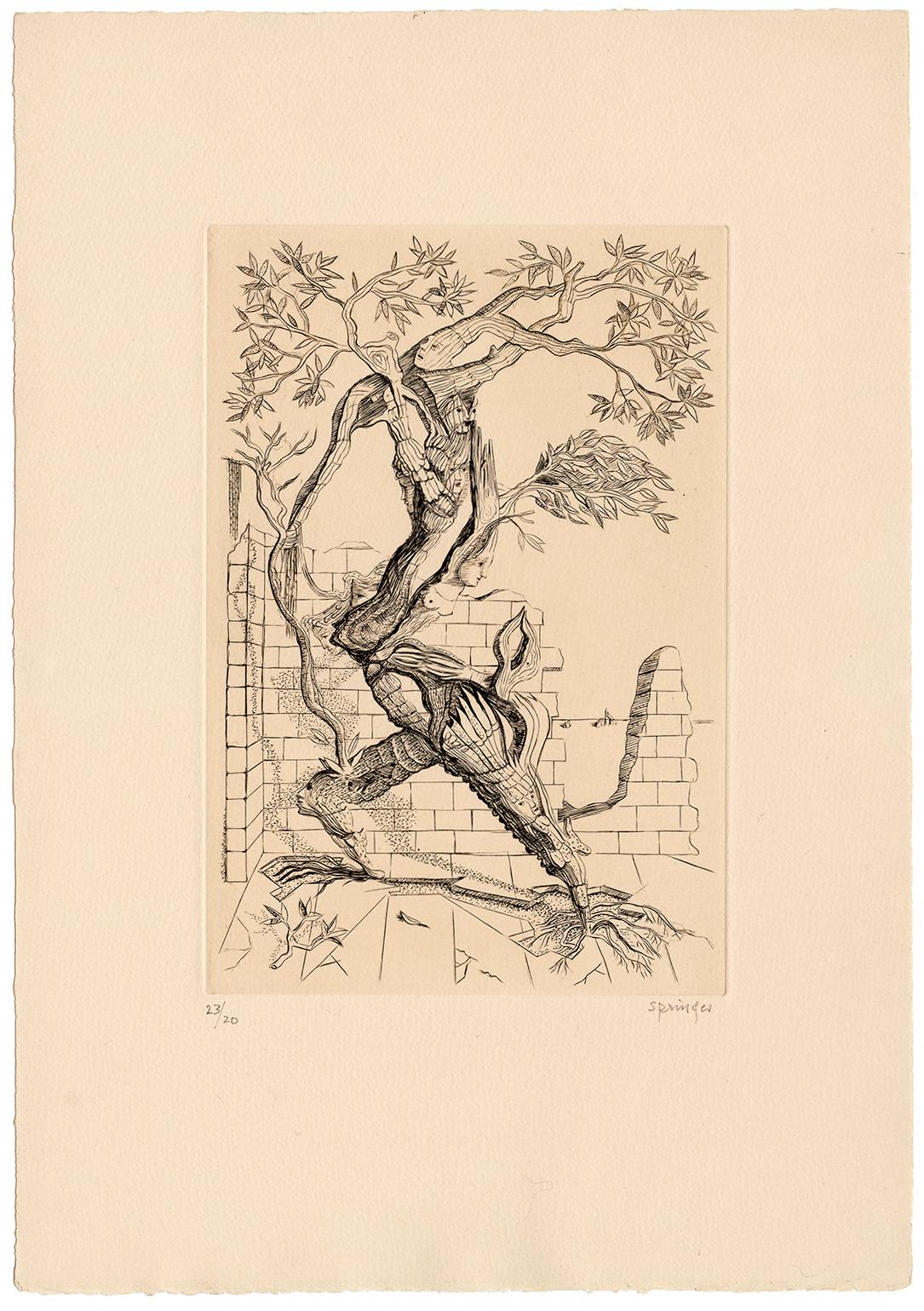 Arbre-Homme (Tree-Man) Surrealismus der Mitte des Jahrhunderts – Print von Ferdinand Springer