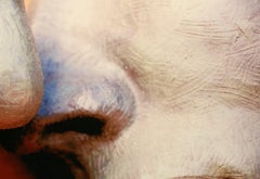 Color Photography "Lips"