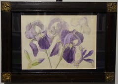 "purple iris" botanical study 1850    watercolor and pencil  cm. 30 x 20