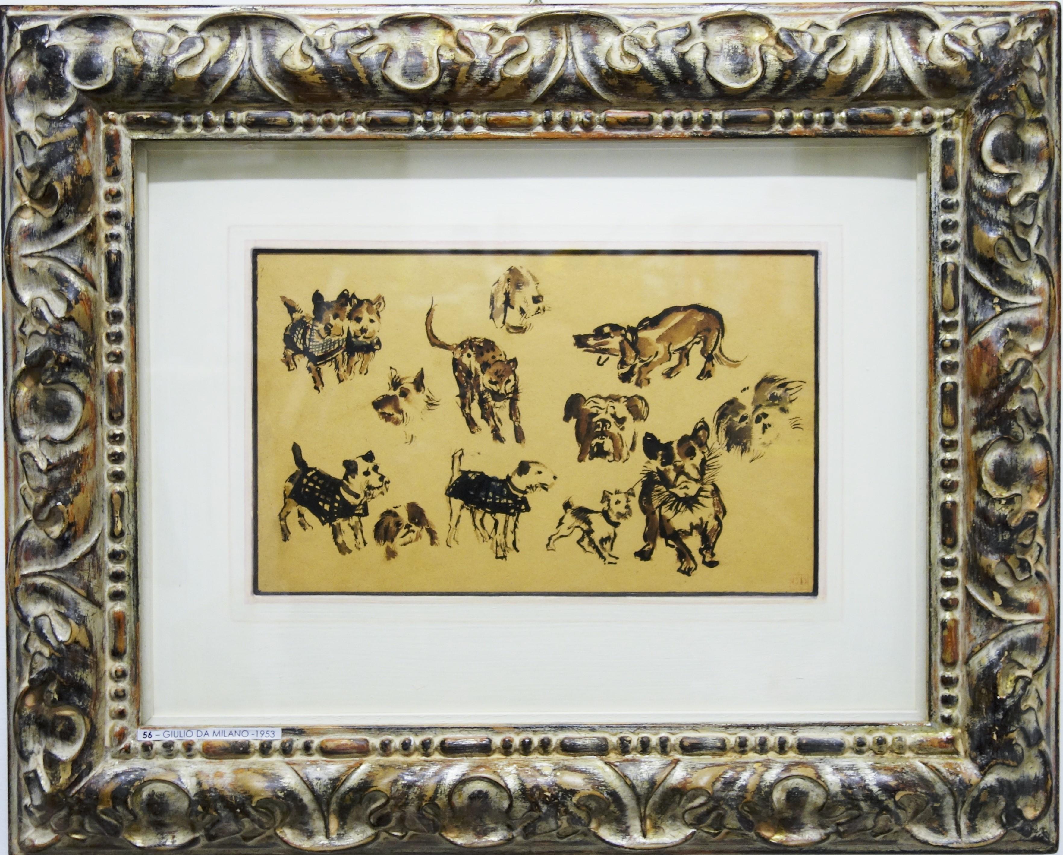 Giulio da Milano Animal Art - " dogs and a cat"  Animals, Dogs, Cat, ink and watercolor cm. 30 x 20 