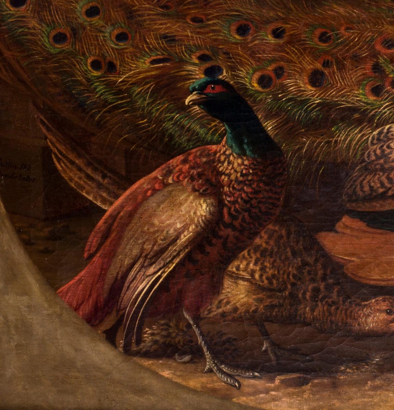 Eugene Cottin Peacocks before a lake at 1stDibs