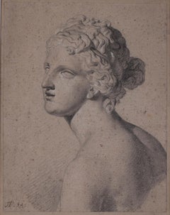Study of the Venus de Medici