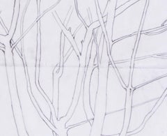 Pre-Raphaelite, British turn of the 20th C 'Study of a tree' by Evelyn de Morgan