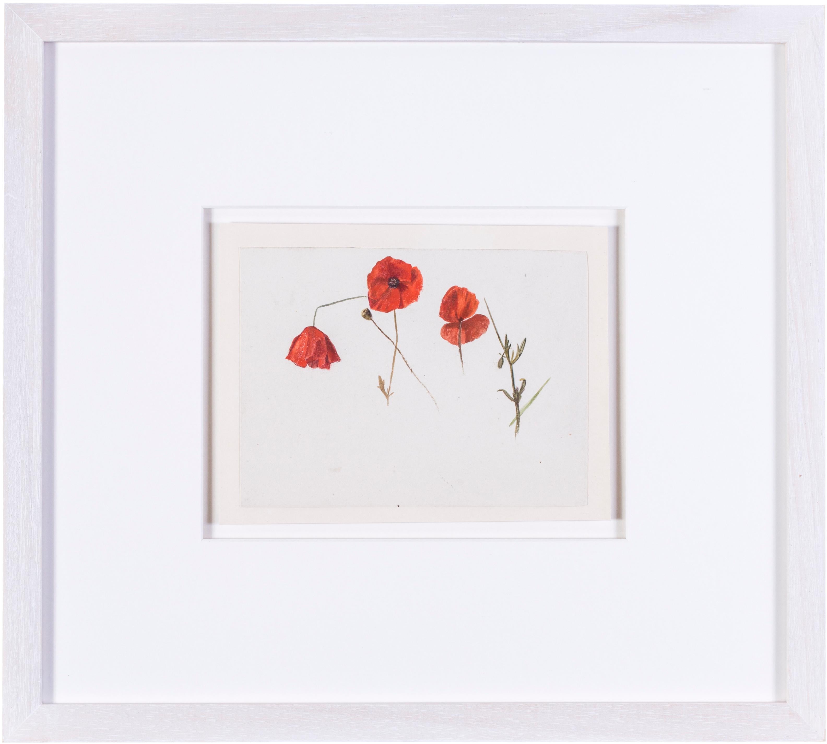 Evelyn De Morgan (British, 1855 – 1919)
Poppies
Watercolour on paper
5.1/2 x 7.1/2 in. (14 x 20 cm.)
Provenance: The Clayton-Stamm Collection.  
Dominic Winter, Cirencester, 8th November 2018, lot 464

Evelyn de Morgan is identified as one of the