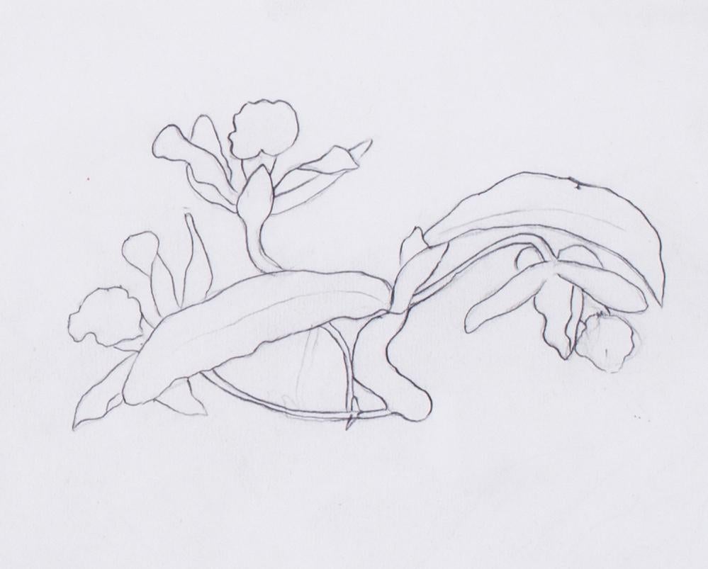 Evelyn De Morgan (British, 1855 – 1919)
Narcissi
Pencil on paper
5.1/2 x 15 in. (14 x 38 cm.)
Provenance: The Clayton-Stamm Collection.  
Dominic Winter, Cirencester, 8th November 2018, lot 464

Evelyn de Morgan is identified as one of the