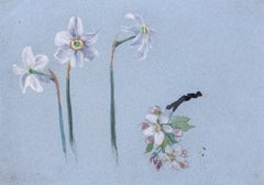 Narcissi and apple blossom