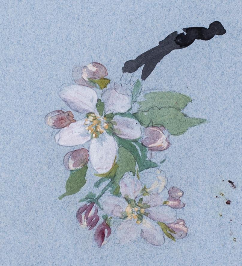 Narcissi and apple blossom - Pre-Raphaelite Art by Evelyn de Morgan
