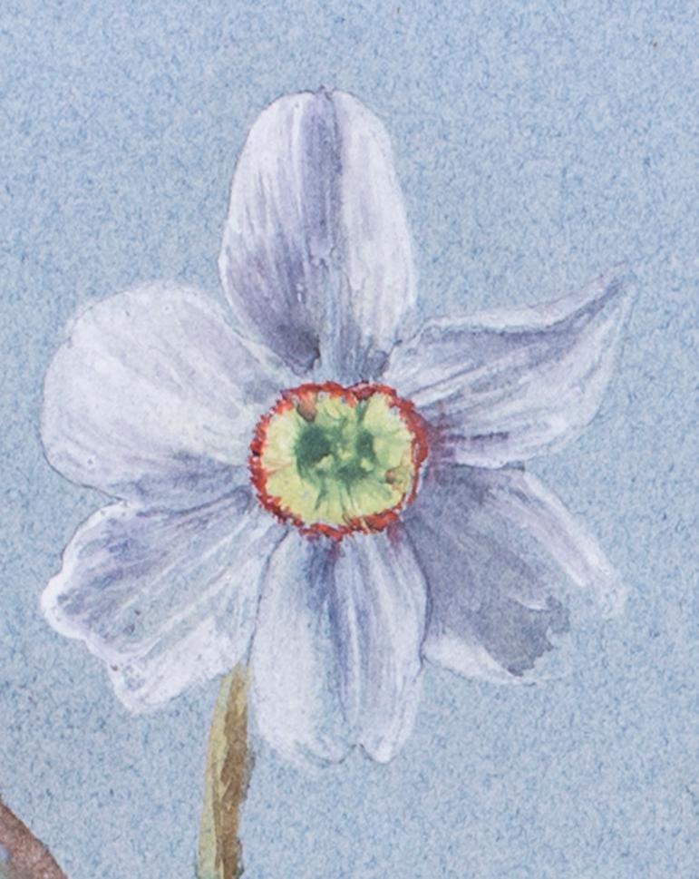 Narcissi and apple blossom - Blue Still-Life by Evelyn de Morgan
