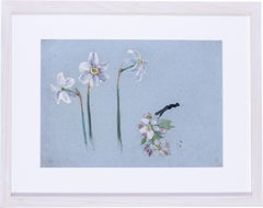 Antique Narcissi and apple blossom