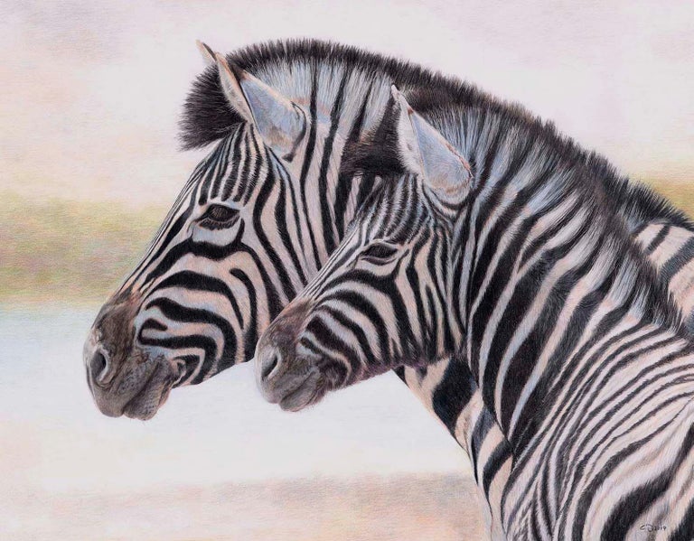 Charlotte Williams - An original, contemporary wildlife drawing of zebra in coloured  pencil on paper For Sale at 1stDibs
