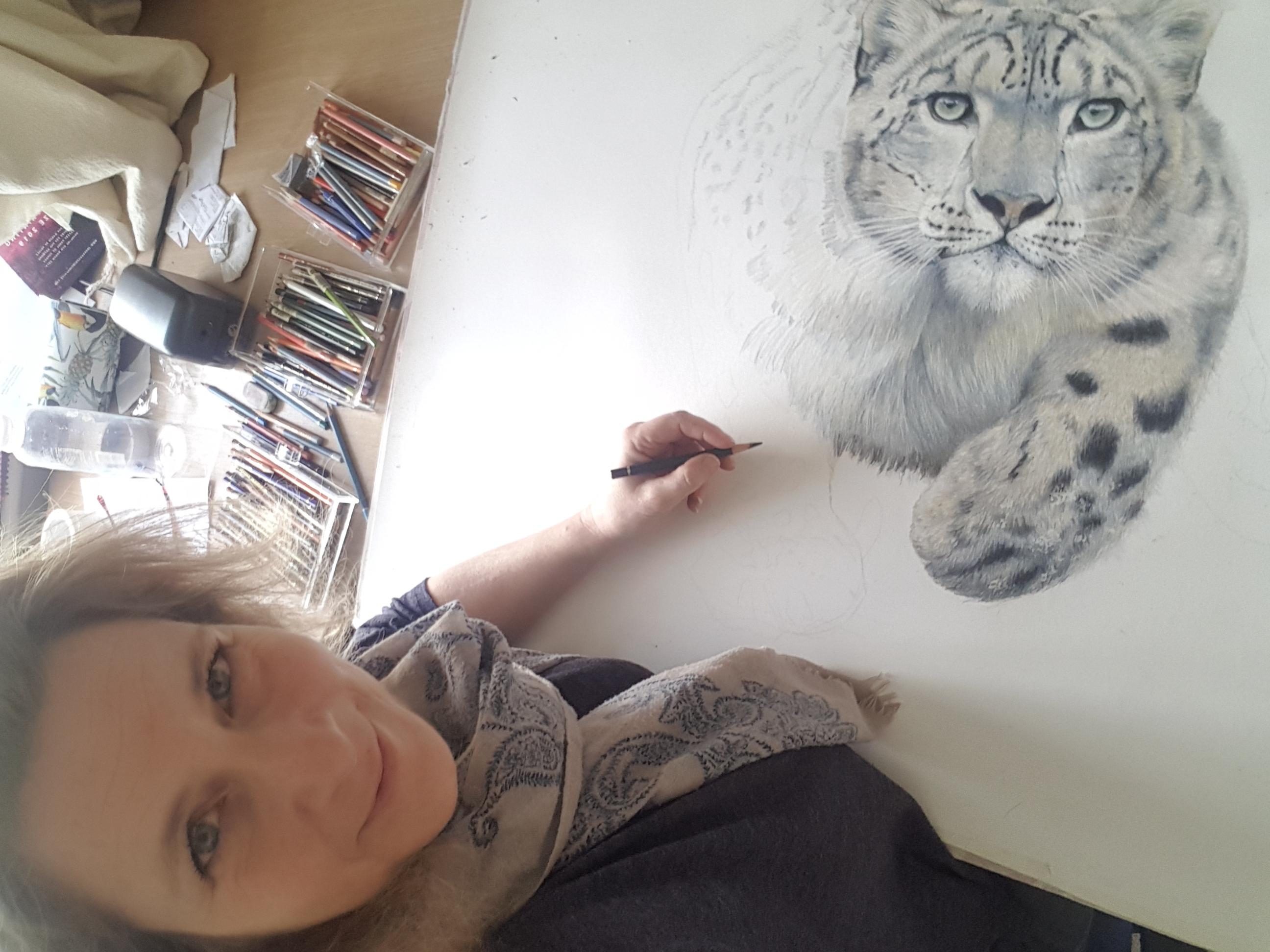 An original drawing of a snow leopard by British born artist Charlotte Williams 1