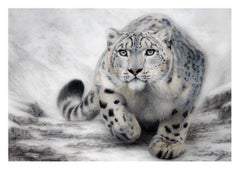 An original drawing of a snow leopard by British born artist Charlotte Williams