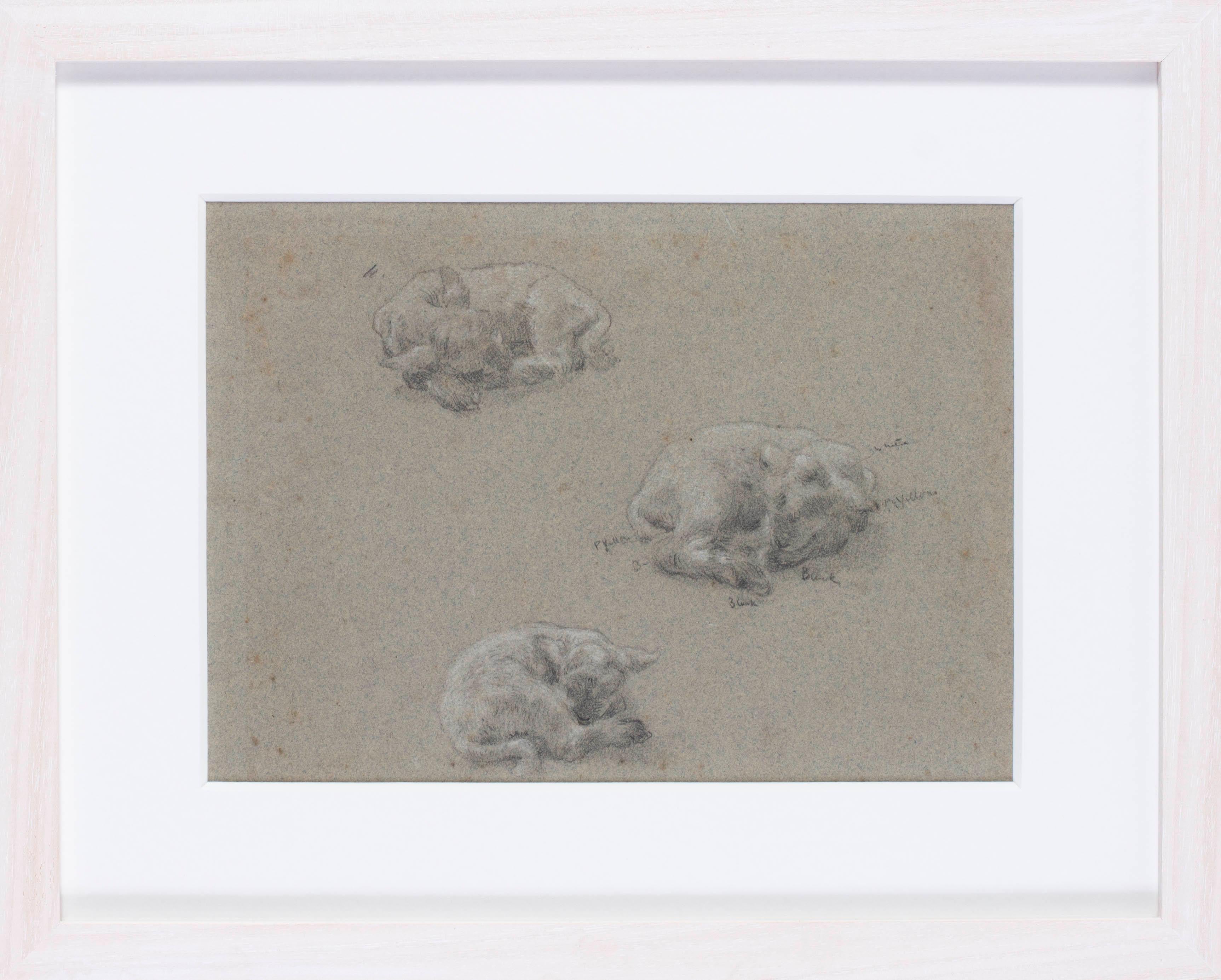 Britische Pastellzeichnung des 19. Jahrhunderts, „Sleeping lambs“ von Albert Goodwin