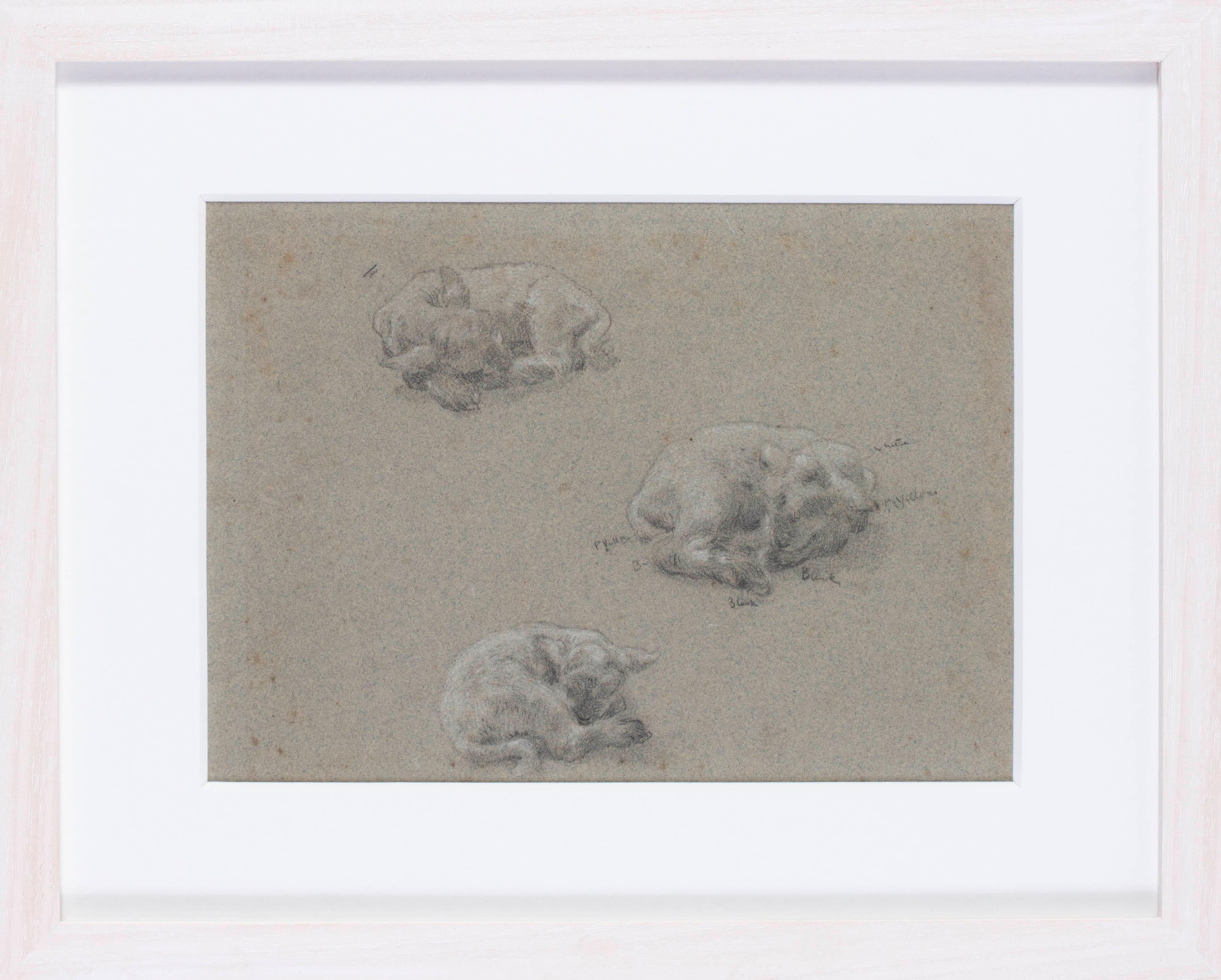 British, 19th Century pastel drawing, 'Sleeping lambs' by Albert Goodwin