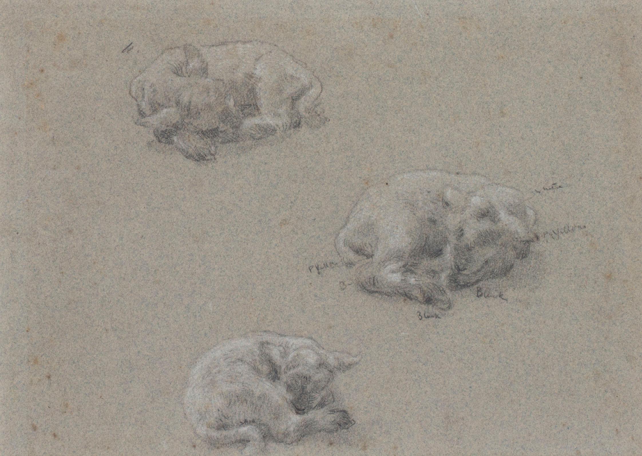 Albert Goodwin (British, 1834 – 1932)
Sleeping lambs
Pencil and chalk on paper
7.1/8 x 10.1/8 in.(18.2 x 26 cm.)
Inscribed ‘Sketched by Albert Goodwin RWS’ (on the reverse)

