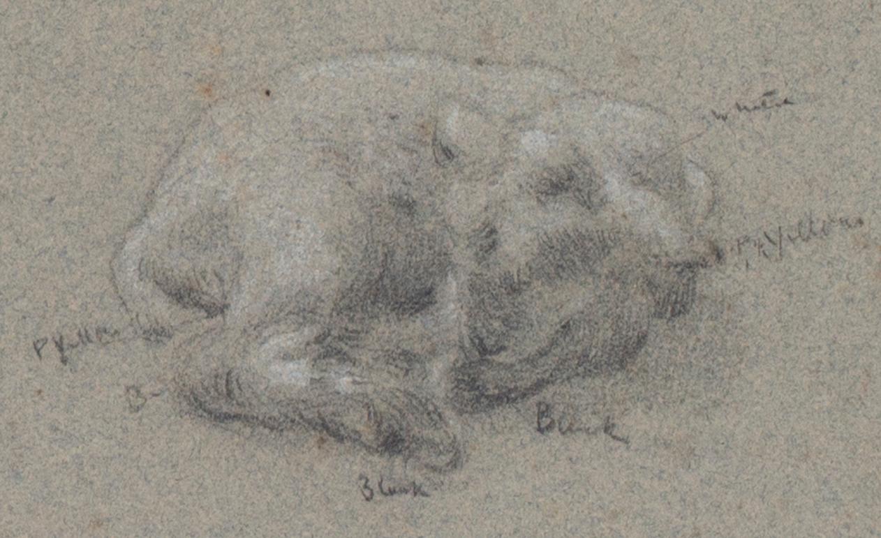 British, 19th Century pastel drawing, 'Sleeping lambs' by Albert Goodwin For Sale 1