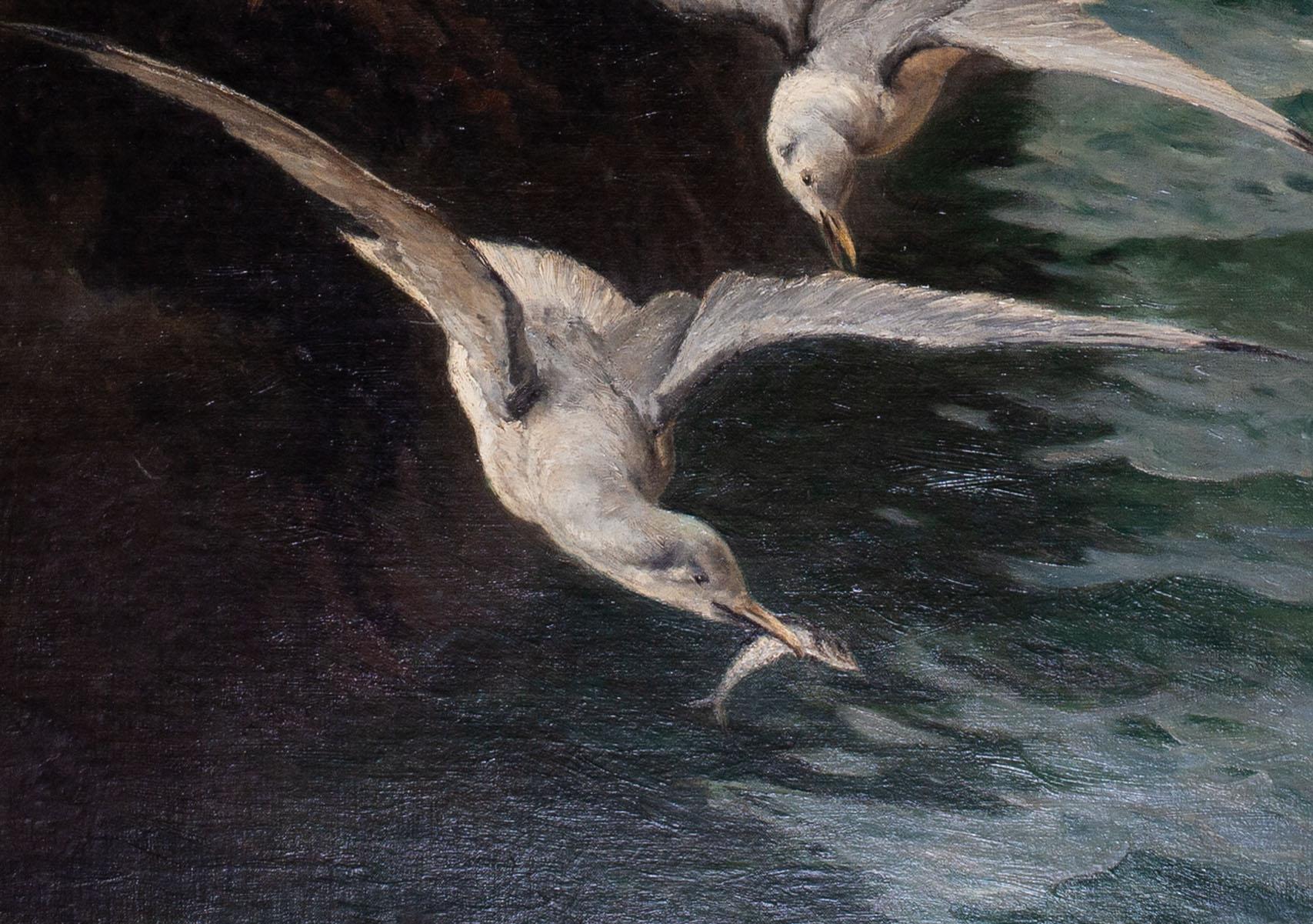 Large oil paintings of Gulls at St. Ives bay, Cornwall by British artist Titcomb - Painting by William Holt Yates Titcomb