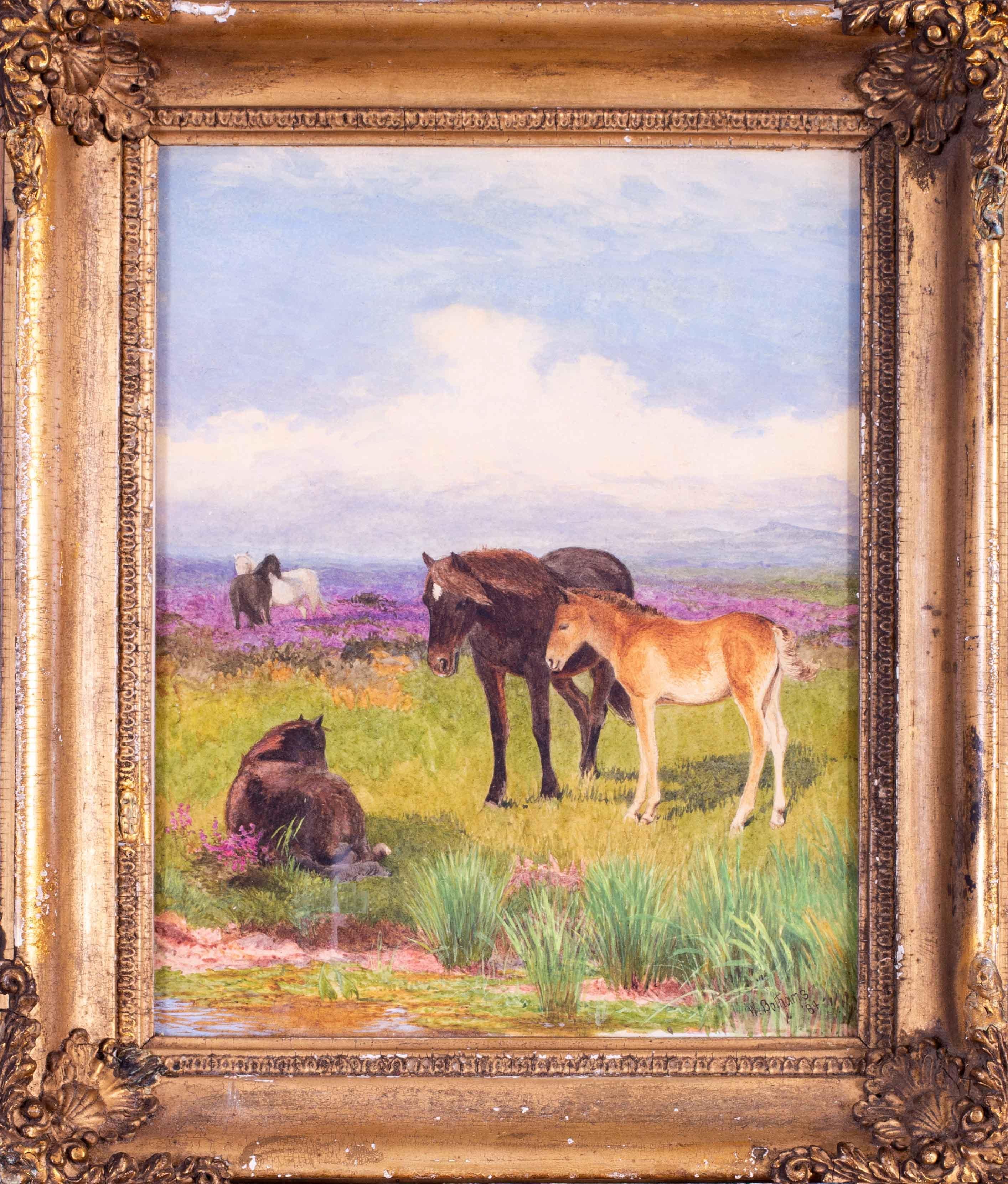 19th Century British watercolour of Dartmoor ponies by Walter Bothams