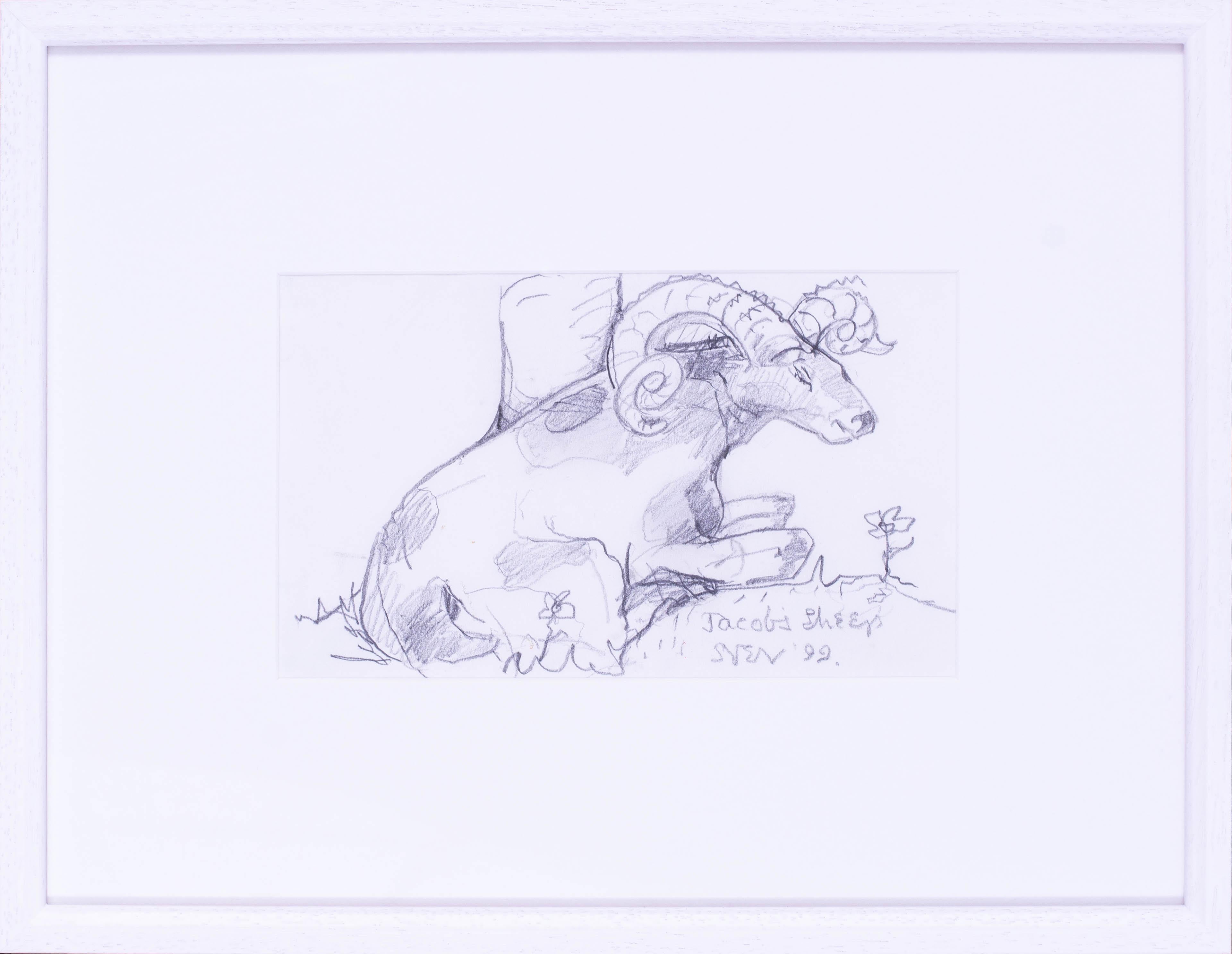 Britische Zeichnung des St. Ives-Künstlers Sven Berlin „Jacob's Sheep“, Bleistift auf Papier