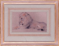 19th Century sanguine drawing of a lion by William Huggins, 1881