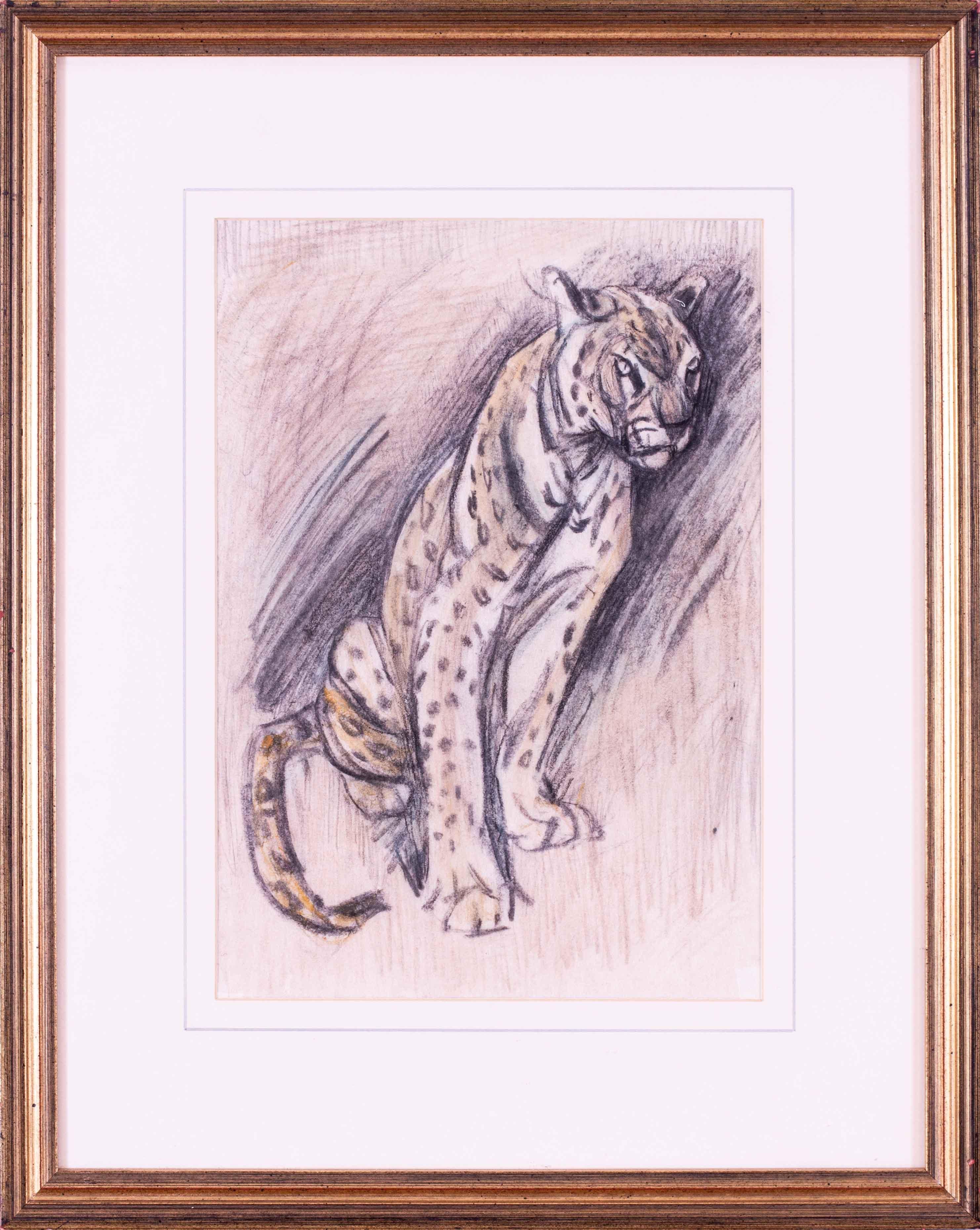 Elsie Marian Henderson Animal Art - British 20th Century Charcoal and crayon drawing of a seated leopard
