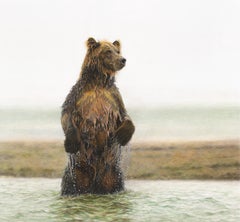 Contemporary wildlife drawing of a brown bear by British born Charlotte Williams