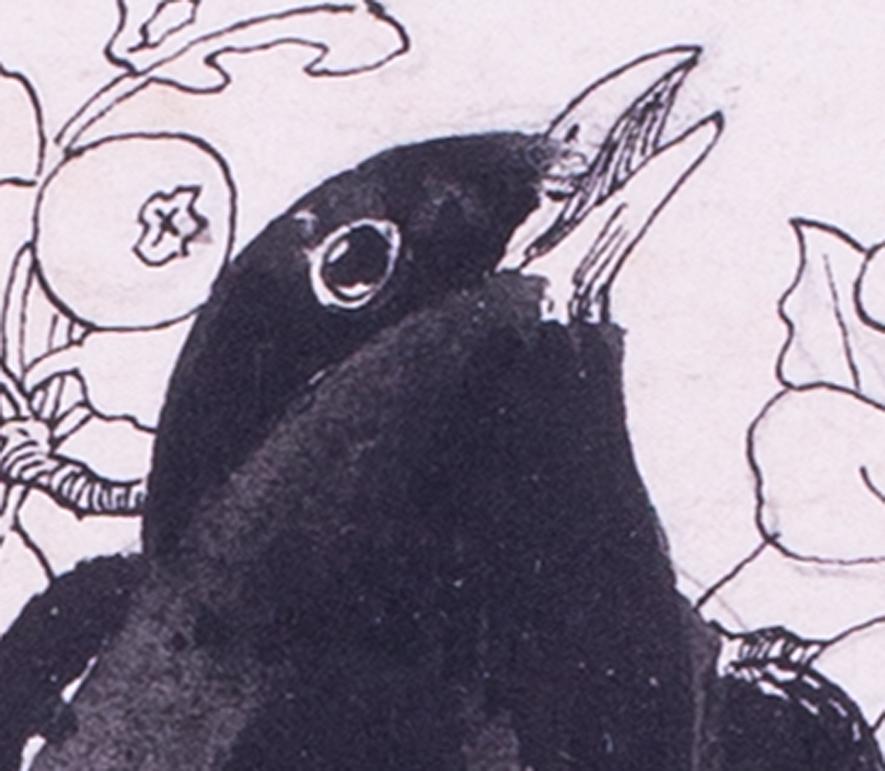 Britische Illustration eines schwarzen Vogels im Gesang aus dem frühen 20. Jahrhundert von Detmold (Art déco), Art, von Edward Julius Detmold