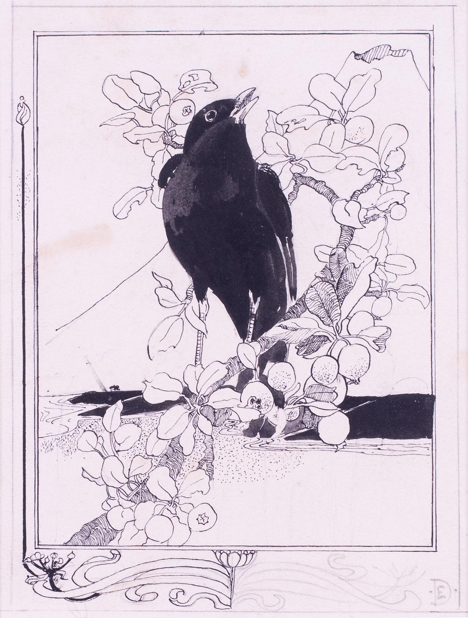Britische Illustration eines schwarzen Vogels im Gesang aus dem frühen 20. Jahrhundert von Detmold – Art von Edward Julius Detmold